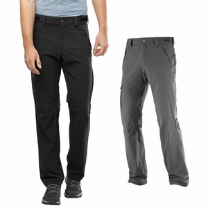 salomon wayfarer mens pants