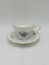 Johann Haviland "Violetta" Footed Cup And Saucer Set