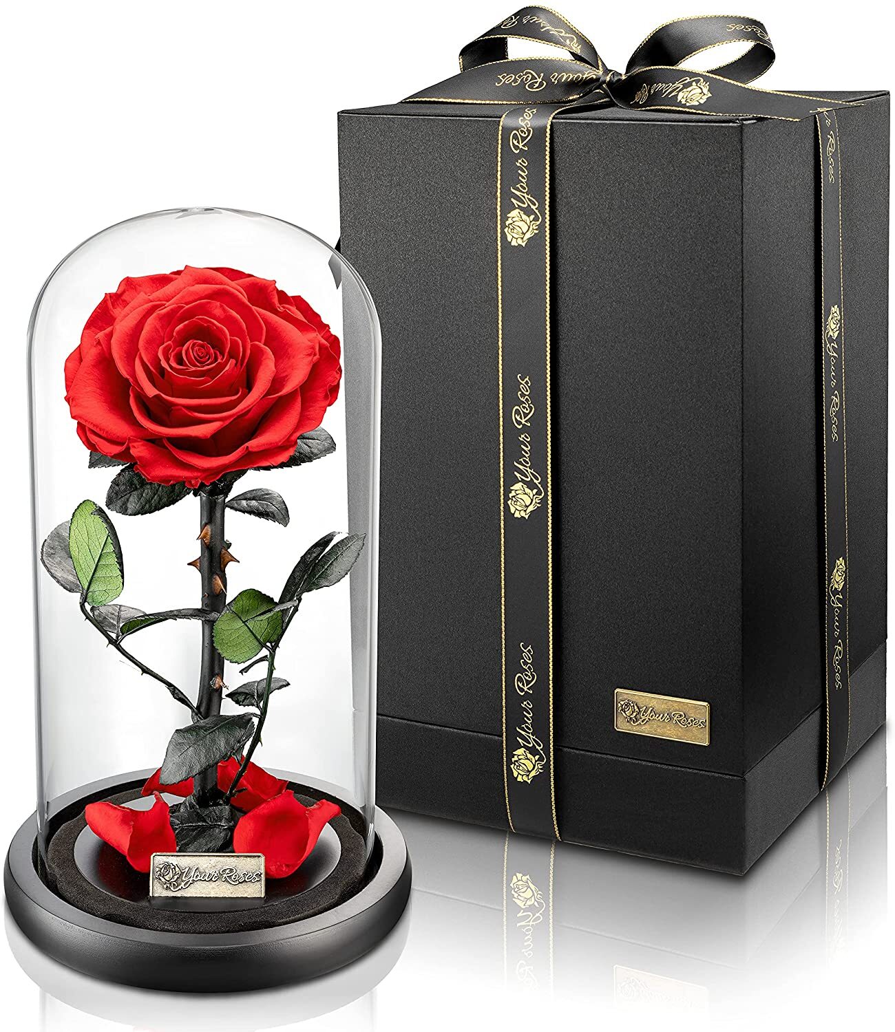 Konservierte Rose im Glas - Geschenk für Frau - Jahrestag Hochzeit Geburtstag