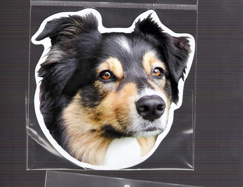 Australian Shepherd  4 inch face magnet for anything metal