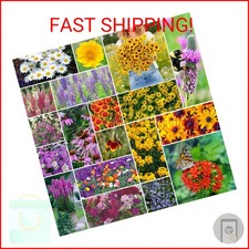 Eden Brothers All Perennial Wildflower Mixed Seeds for Planting, 1/4 lb, 120,000