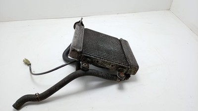 Genuine Honda Fes125 Silver Wing 2009 Radiator With Fan