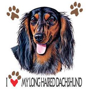 T Shirt With Long Haired Dachshund Transfer Ebay