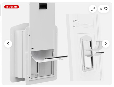 Double-Flap Dog Door for Doors & Wall with Closing Panel & Lock, Large