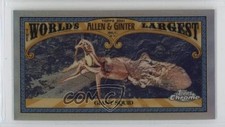 2021 Topps Allen & Ginter Chrome Mini World's Largest Giant Squid #MWL-7 1a1r