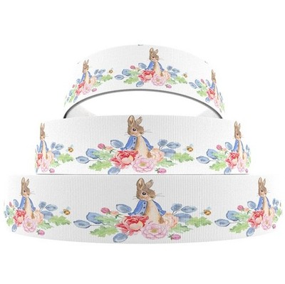 CHARACTER RIBBON - PETER RABBIT | eBay UK