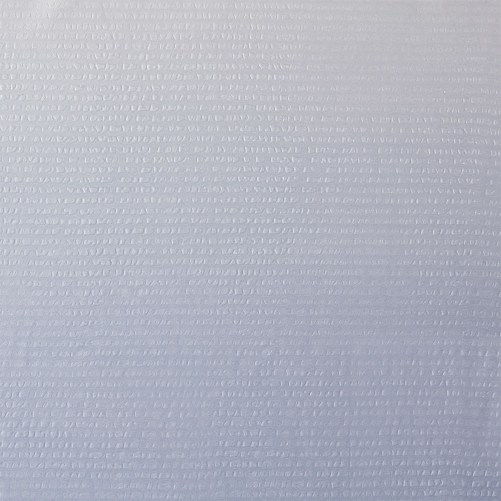 Ara Ombre Printed Seersucker Shower Curtain eBay