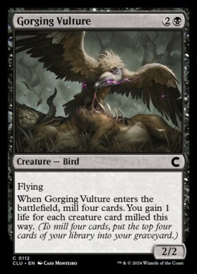 MTG Ravnica Clue Edition C Gorging Vulture #0112
