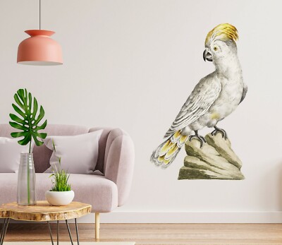 3D Papagei H417 Tier Wallpaper Wandbild Poster Wandaufkleber Abziehbild Hone
