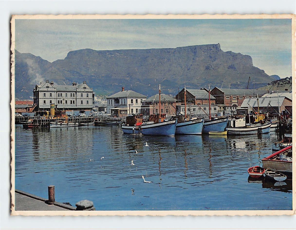 Postcard Fishing harbour, Cape Town Docks, Safe Haven, Cape Town, South