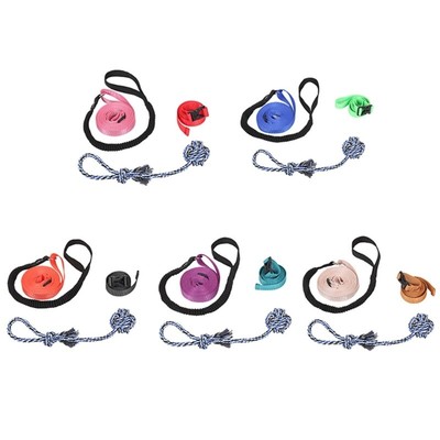 Dog Bungee Toy Training Interactive Game for Dog Teething Chew Pull Toy