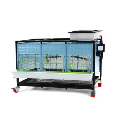 Chick Brooder - 1 Layer H: 15''