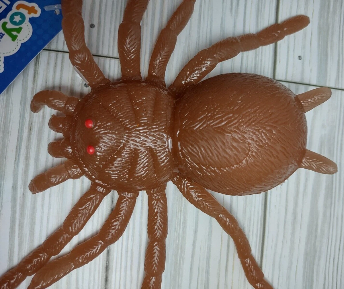 Squishy spider toy sale