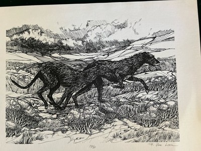 Scottish Deerhound Limited Edition Signed Print Martha Van Loan 12vx16