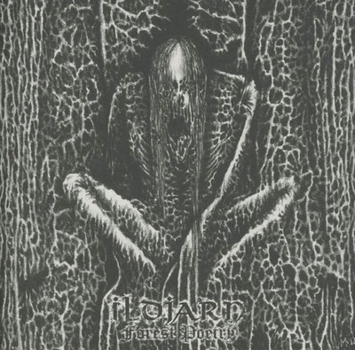 ILDJARN - Forest Poetry  CD     SORT VOKTER     BONE AWL
