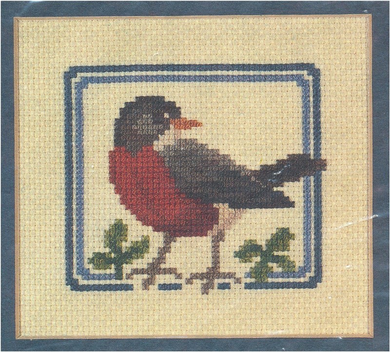 Graphique Needle Arts ROBIN Cross Stitch Chart Card w/ Envelope OOP HTF  bird