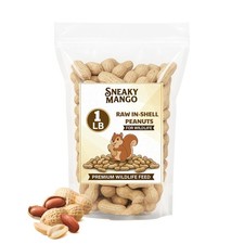 Snaky Mango Raw Peanuts in Shell - 1 Pounds All-Natural 1 Pound Pack of 1