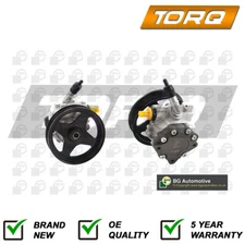 Power Steering Pump Torq Fits Land Rover Range 2002-2012 4.2 4.4 QVB500430