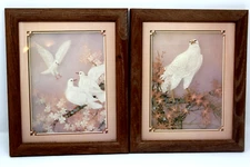 2 Vintage Lithograph USA DOVES Birds Prints Framed Under Glass 11.5 x 9.5in RARE