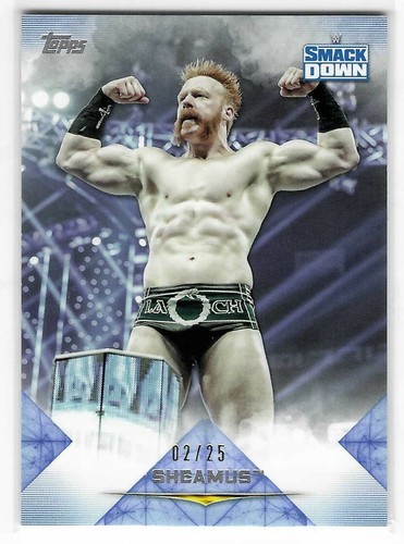 Sheamus 2020 Topps Undisputed WWE Smack Down Blue Card #48 02/25 - Picture 1 of 1