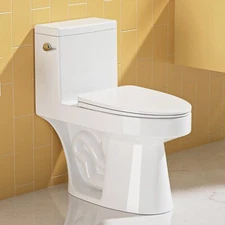 One-Piece Elongated Toilet with Comfort Height & Siphonic Jet Flush System