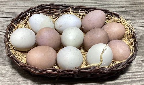 Dozen Realistic Eggs In Basket Nest Faux Artificial Food Prop Brown White Stone - Picture 9 of 21