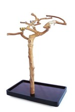 Premium Parrot Tree Stand Perch/Play Stand Macaw, African Grey, Cockatoo,Amazon