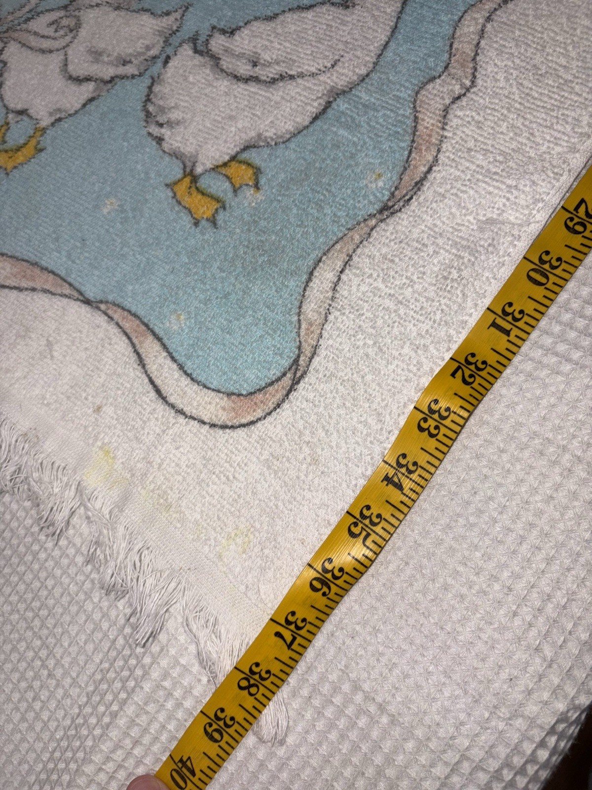 Picture 3 of 14