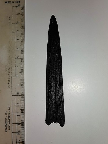 01, FÓSIL DE BELEMNITA CEFALÓPODO CRISTALIZADO ÁSPERO DE TIMOR, INDONESIA, 113 MM - Imagen 4 de 6