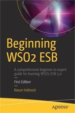 Beginning Wso2 Esb (Paperback or Softback)