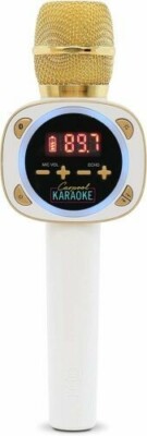 Carpool Karaoke The Mic Singing Machine The Late Late Show