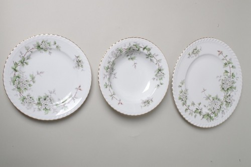 Hawthorn Franconia Krautheim K&A Selb Bavaria 23 Piece Tea Set and Dishes For - Picture 21 of 24