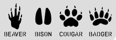 4''x10'' Clear Plastic Stencil - Bison (ME414)