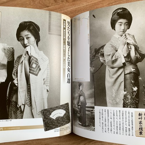 Japan Beauty Woman Photo Collection Edo Meiji Taisho Beauty Geisha Japanes Ltd - Picture 17 of 23