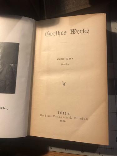 FINE BINDINGS Goethes Werke Complete Works In German 1902 Set Like Leather - Picture 2 of 12