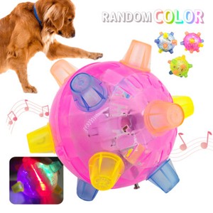 dog jumping ball