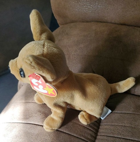 5T Ty Beanie Baby Tiny The Chihuahua Dog 1998 felpa 6" - Imagen 4 de 7