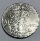 2006 Silver Eagle