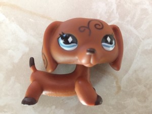 lps rare dogs