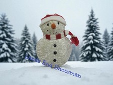 Large 13" Lands End Plush Snowman Plush Knitted Red White Hat Scarf