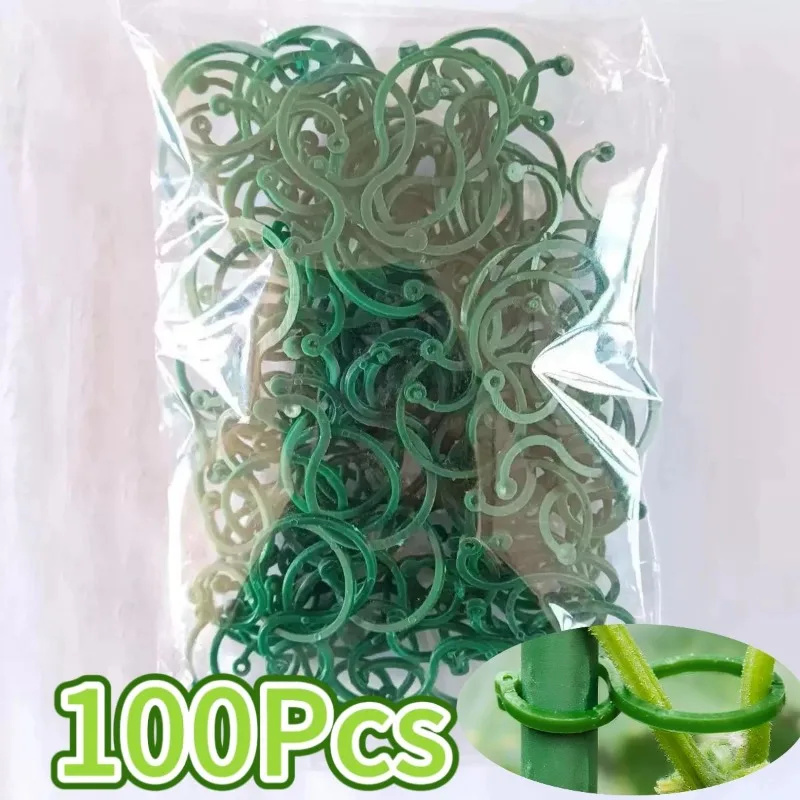 50-1000Pcs Plant Fixed Clips Reusable Garden Greenhouse Bracket Garden Plants Vi