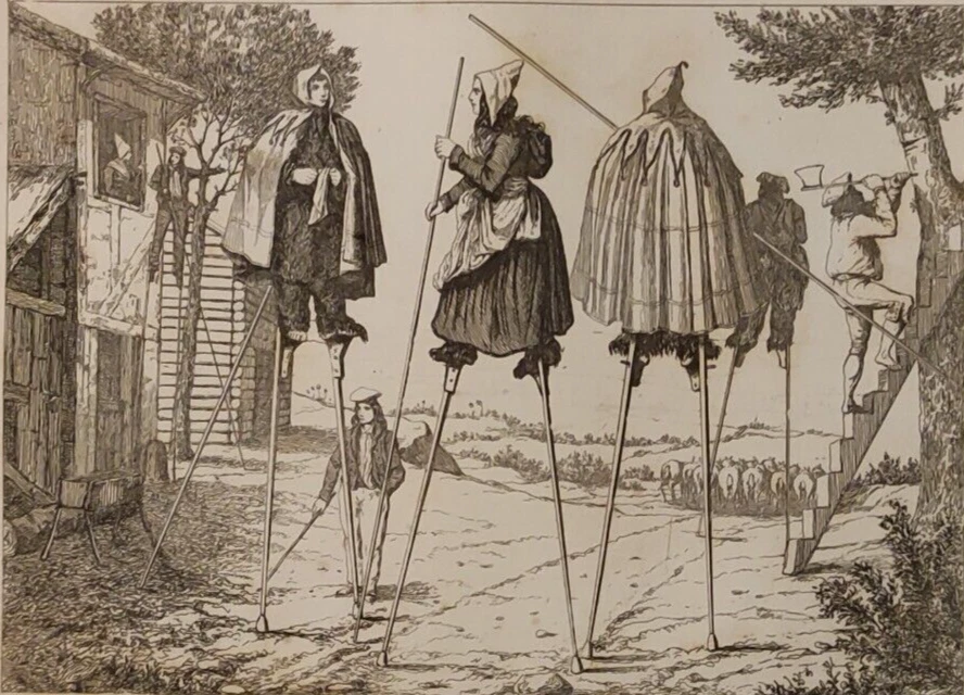 Gravure: XIXéme  Habitants des LANDES  Bergers sur Echasses 40 par LACAUCHIE - Photo 3/3