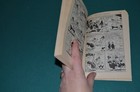 Bild 8 von 8
