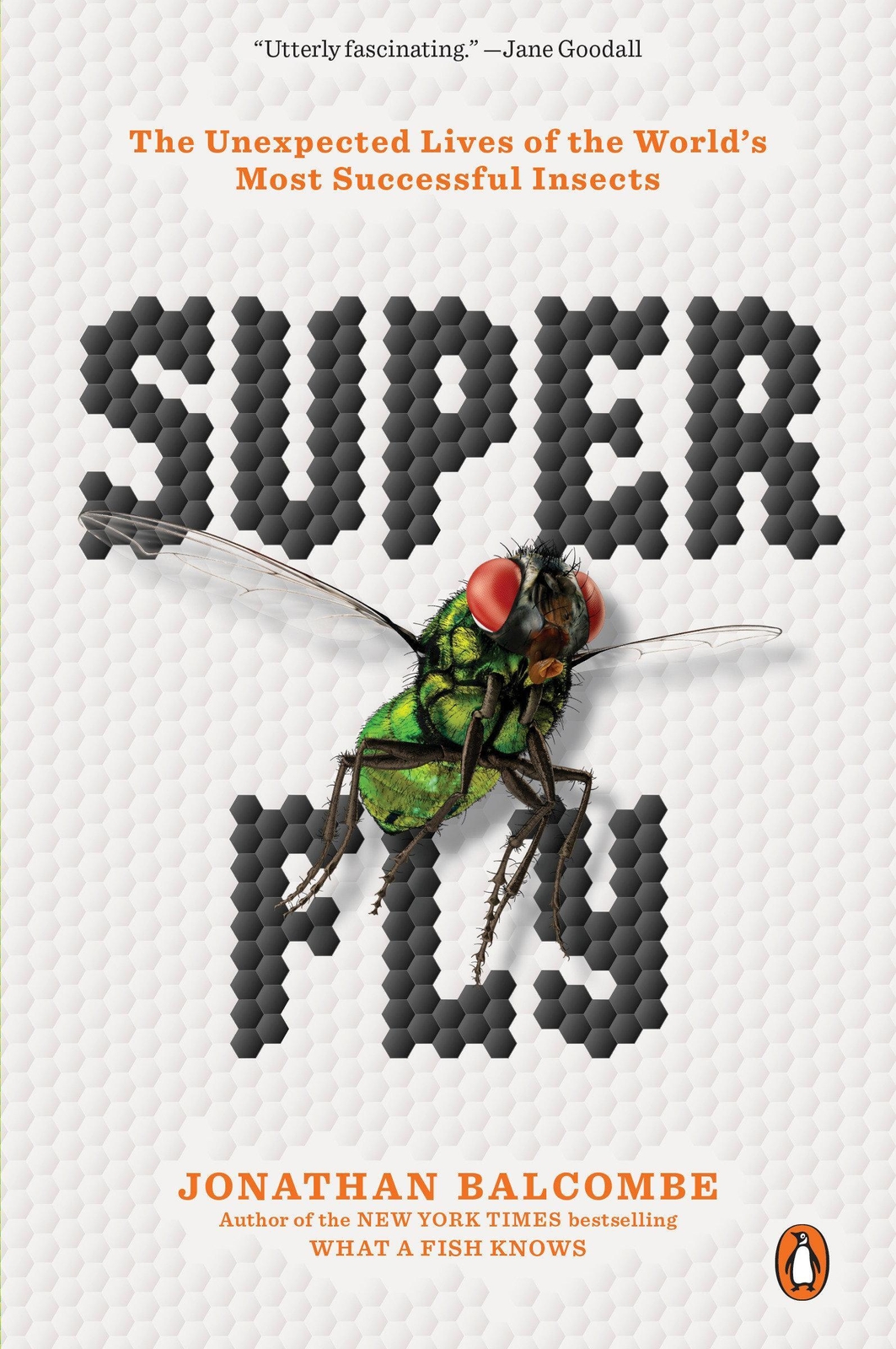 Thumbnail - Super Fly | The Unexpected Lives Of The World's Most Successful