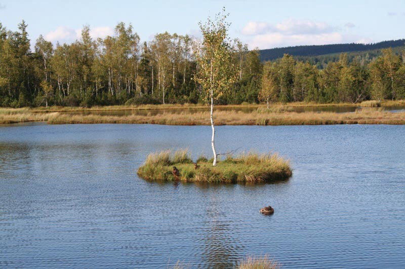 Thumbnail - Kultur-reiseführer Böhmerwald-sumava (cr) Hans Schopf 9783941457393