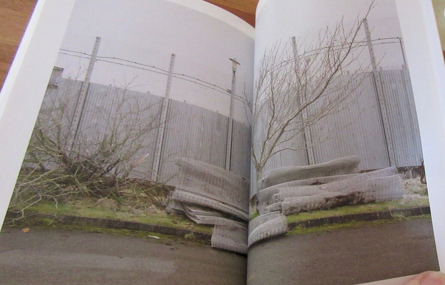 Foto 11 di 12