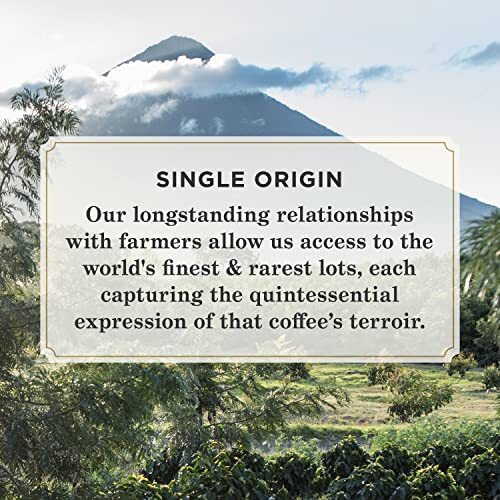 Peet's Single Origin Brasil Café 32 unidades K Taza Vainas Tostado Medio 100 Arábica - Imagen 5 de 9