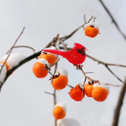 20 Pcs Artificial Christmas Cardinal Birds Simulation Red Birds Feather Mini Bir - Picture 3 of 6