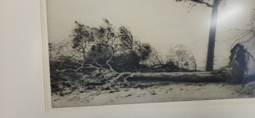 Original 1927 John G Mathieson Sign Etching "After The Storm" - Picture 2 of 8