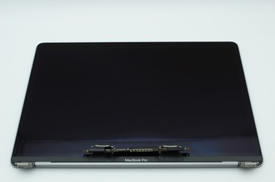 MacBook Pro 13'' Display A1989 A2159 A2251 A2289 Original Space Grau